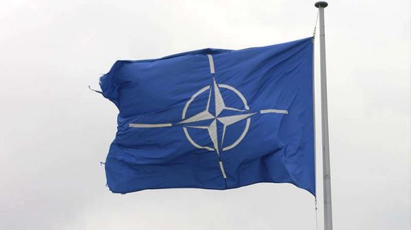 <br />
                    Strategic Culture: спецоперация России обличила главную слабость НАТО<br />
                